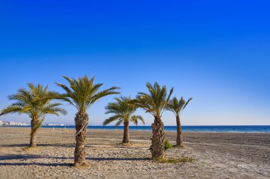 Alicante Spain Costa Blanca, Santa Pola Tamarit beach