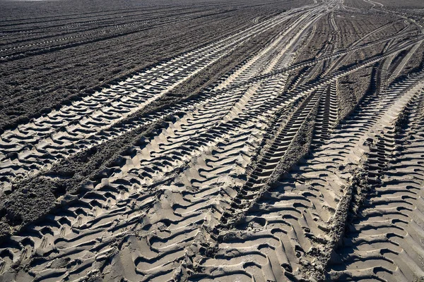 Traktorreifenspuren Auf Sand Strand Nach Der Reinigung — Stockfoto