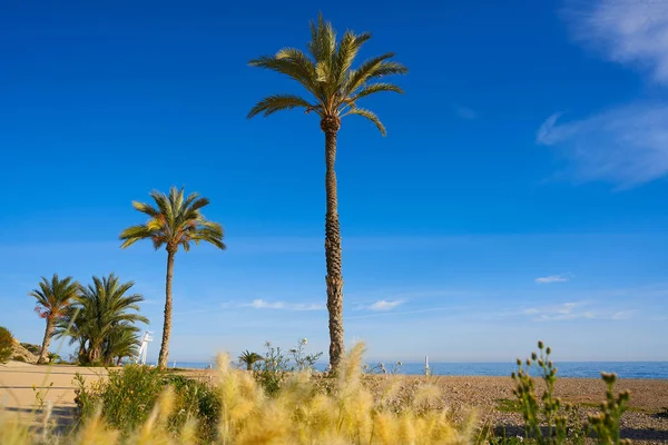 Paradis Plage Paraiso Playa Vila Joiosa Alicante Espagne Aussi Villajoyosa — Photo