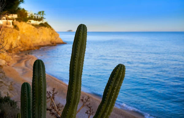 Spiaggia Esparrello Playa Villajoyosa Alicante Spagna Anche Asparrallo Vila Joiosa — Foto Stock