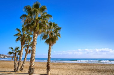 Benicassim Torre Sant Vicent Plajı