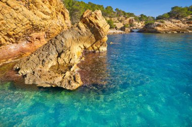 Ametlla L 'ametlla de mar plaj illot