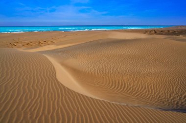 Delta del Ebro plajı Punta del Fangar