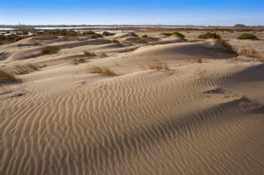 Delta del Ebro plajı Punta del Fangar