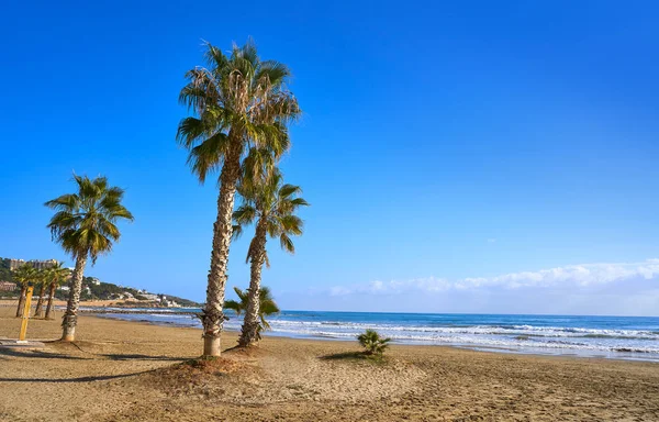 Benicassim Almadravaプレイビーチカステリョン — ストック写真