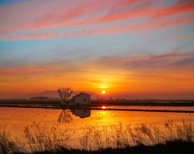 Deltebre 'de Delta del Ebro Günbatımı