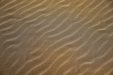 Dunes beach sand texture in Costa Dorada clipart