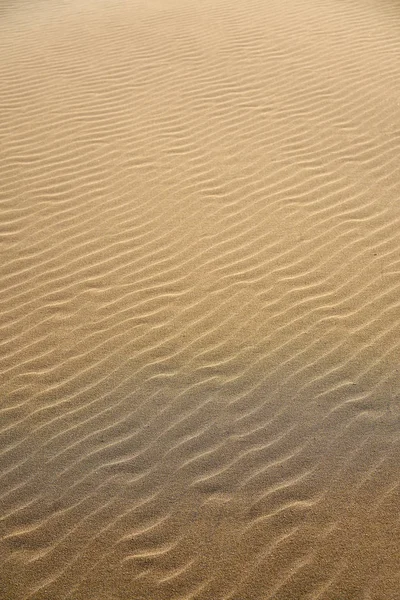 Dunas praia textura de areia na Costa Dorada — Fotografia de Stock