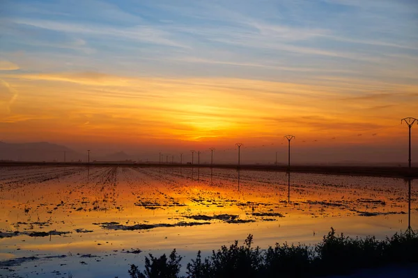 Delta del Ebro Ebre sunset in Deltebre — Stock Photo, Image