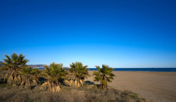 Playa El Pinar en Grao de Castellon —  Fotos de Stock