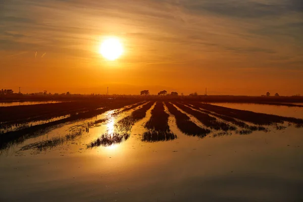 Delta del Ebro Ebre západ slunce v Deltebre — Stock fotografie