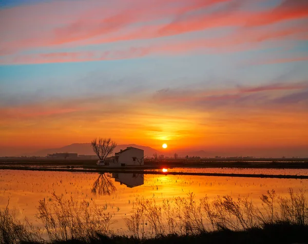 Puesta de sol del Delta del Ebro en Deltebre — Foto de Stock