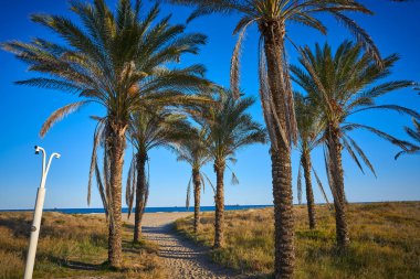 Playa El Pinar Sahili, Grao de Castellon