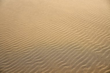 Costa Dorada Dunes kum plaj doku