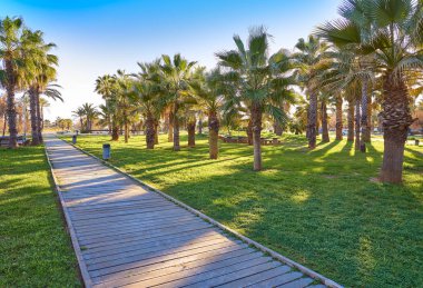 Playa El Pinar Sahili, Grao de Castellon