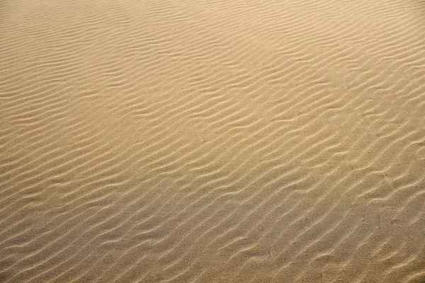 Dunes beach sand texture in Costa Dorada — Stock Photo, Image