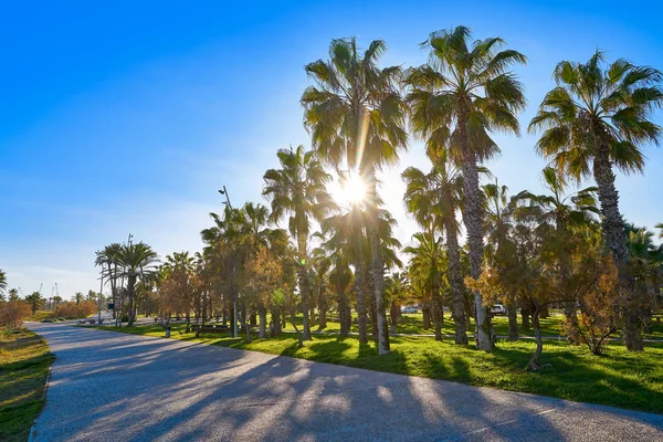 Playa El Pinar beach in Grao de Castellon — стокове фото