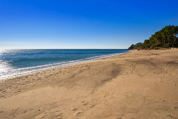 Plaża Platja Penyals w Miami-Platja — Zdjęcie stockowe