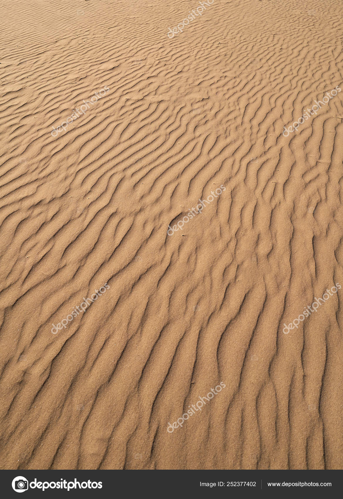 コスタ ドラーダの砂丘砂のテクスチャ ストック写真 C Lunamarina