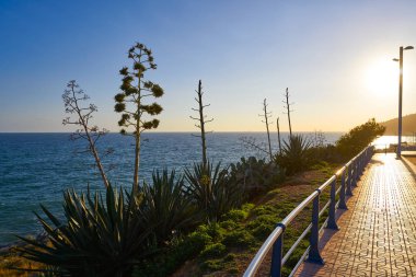 Castellon Akdeniz 'de Oropesa de Mar