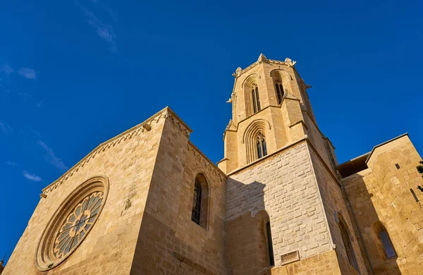 Tarragona Cathedral Bazilikası, İspanya — Stok fotoğraf