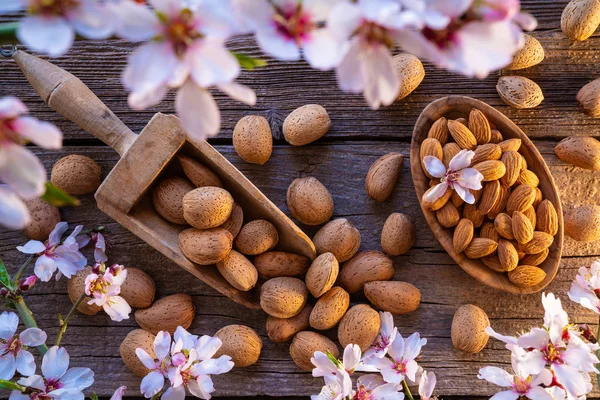 Almond spring blossom harvest on wood — Stock Photo, Image