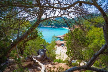 Balear'da Ibiza Cala Salada ve Saladeta