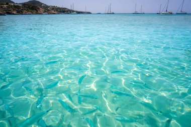 Balear Adaları Ibiza Cala Tarida plaj