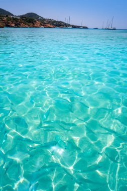 Balear Adaları Ibiza Cala Tarida plaj