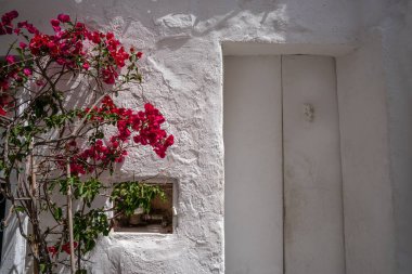 Ibiza Eivissa downtown Dalt Vila facades