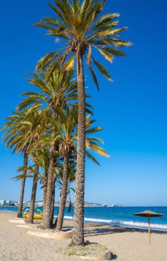 Balear Adaları Ibiza Playa d En Bossa plaj
