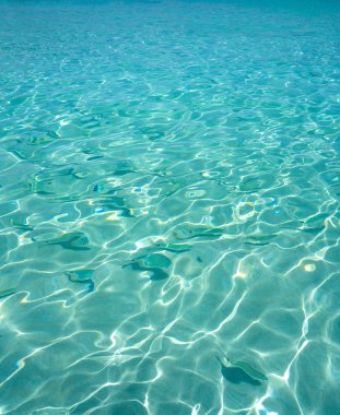 Balear içinde Ibiza Portinatx Arenal Petit plaj