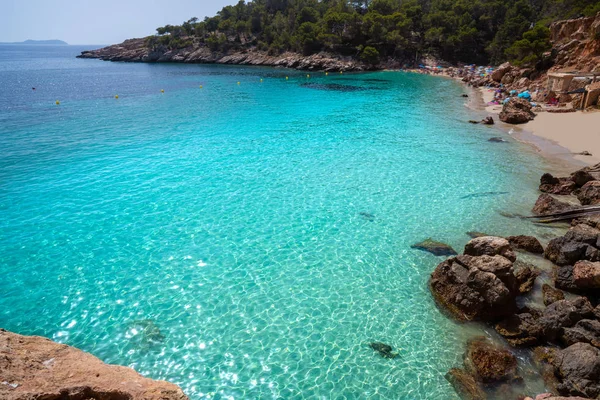 Ibiza Cala Salada och Saladeta i Balearics — Stockfoto