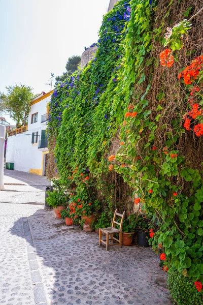 Ibiza Eivissa centro Dalt Vila fachadas — Foto de Stock