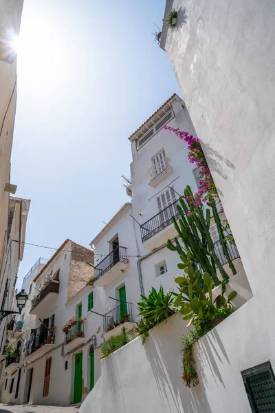 Ibiza Eivissa downtown Dalt Vila facades — Stok fotoğraf