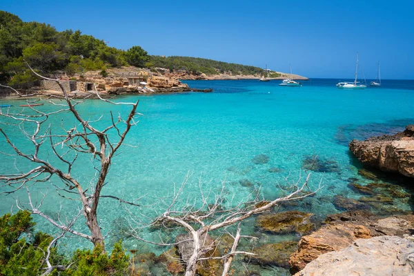 Ibiza Portinatx Arenal Petit praia em Baleares — Fotografia de Stock