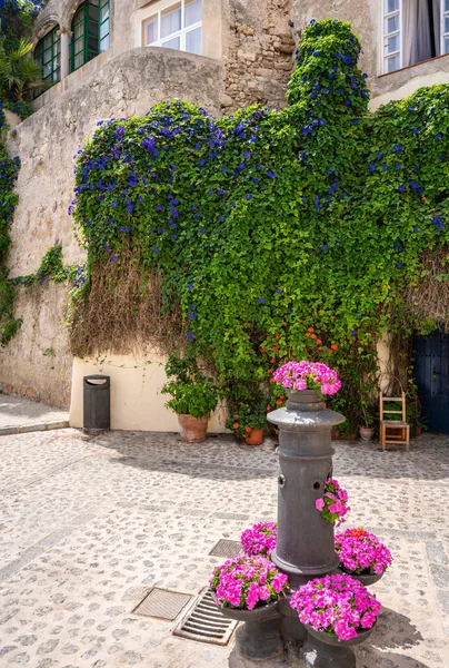 Ibiza eivissa Innenstadt dalt vila Fassaden lizenzfreie Stockfotos