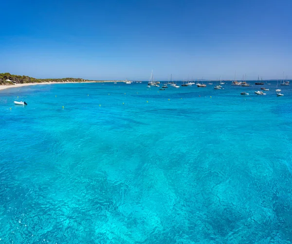 Пляж ібіс Плая СЕС Салінес на Балеарські острови — стокове фото