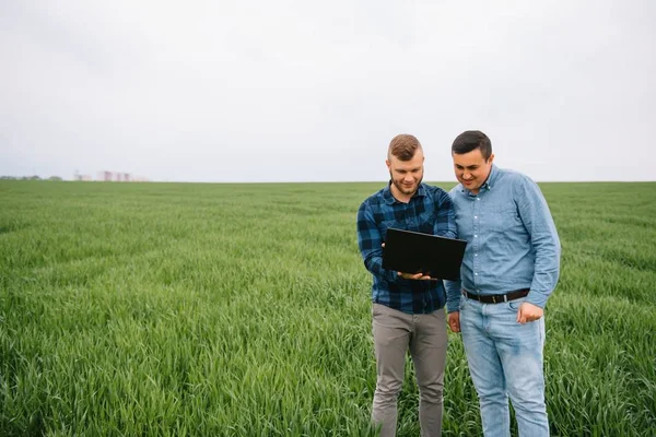 Två Bönder Som Står Ett Vetefält Och Tittar Laptop Undersöker — Stockfoto