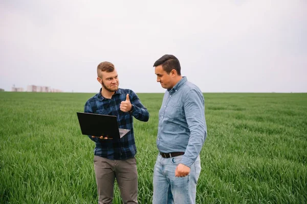 Два Фермери Стоять Пшеничному Полі Дивляться Ноутбук Вивчають Труп Концепція — стокове фото