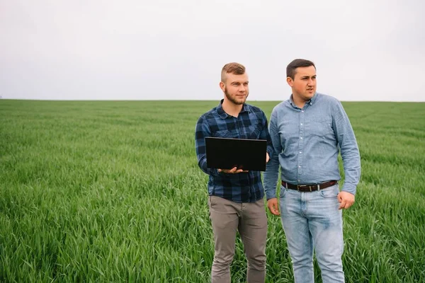 小麦畑に立ってノートパソコンを見ている2人の農夫は 会社を調べている 農業ビジネスの概念 コムギ畑に立つ農業技術者は — ストック写真