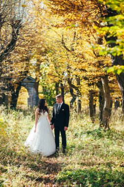 Sonbahar parkında gelin ve damat Aşk Hayatı