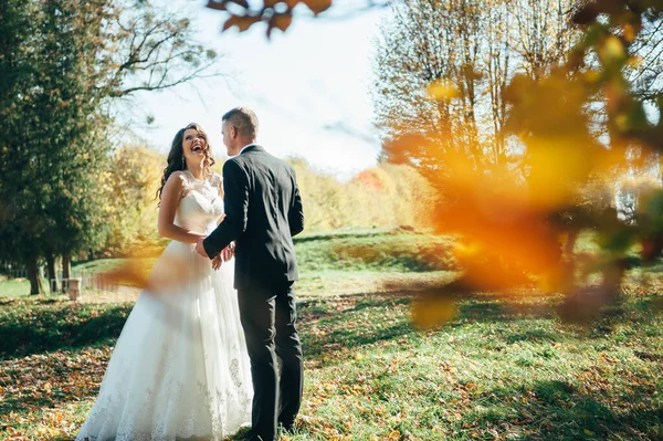 秋の公園で花嫁と新郎 Love Life — ストック写真
