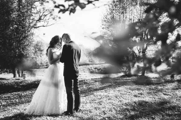 Happy Couple Wedding Photo Couple Love — Stock Photo, Image