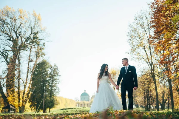 Felice Couple Wedding Photo Couple Innamorato — Foto Stock