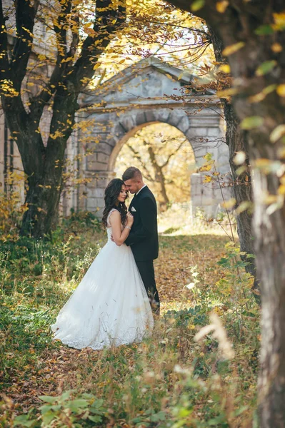 Sposo Che Abbraccia Sua Sposa Ridente Green Park Matrimonio — Foto Stock