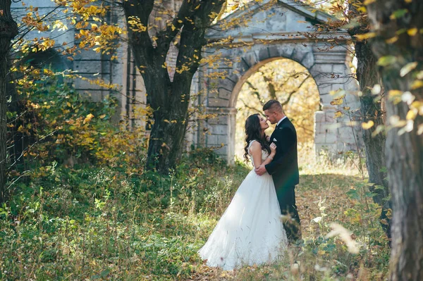 Felice Couple Wedding Photo Couple Innamorato — Foto Stock