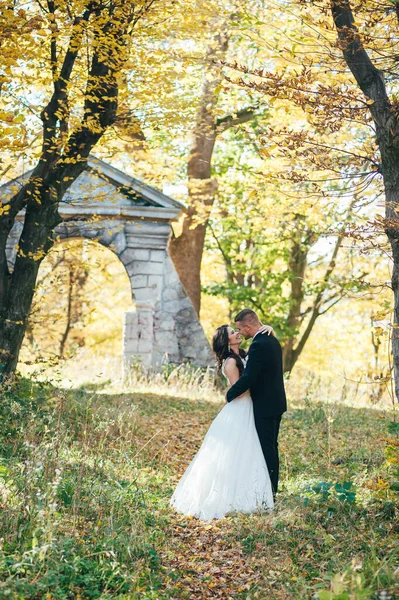 Sonnenschein Portrait Von Glücklichen Braut Und Bräutigam Freien Der Natur — Stockfoto