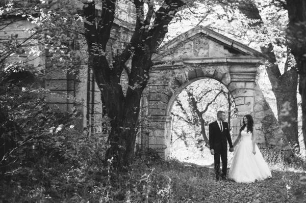 Felice Couple Wedding Photo Couple Innamorato — Foto Stock