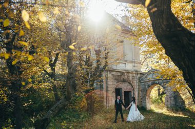 Damat yeşil parkta gülen gelinine sarılıyor. Düğün..